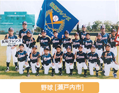 野球 瀬戸内市